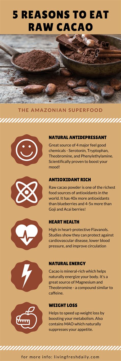 Raw Cacao Benefits | 5 Reasons You Need To Be Eating This Superfood ...