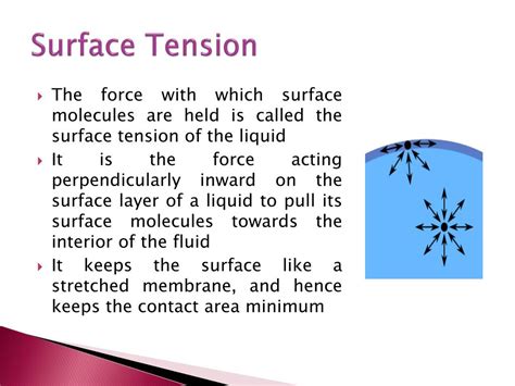 PPT - Biomedical importance of surface tension PowerPoint Presentation - ID:2778612