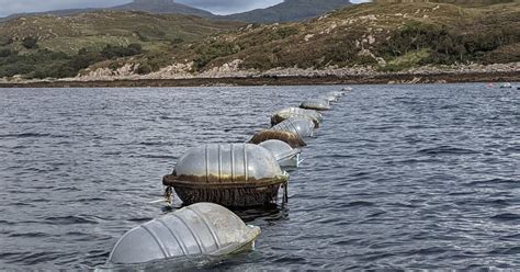 Life lessons and keeping a mussel farming business afloat | The Fish Site