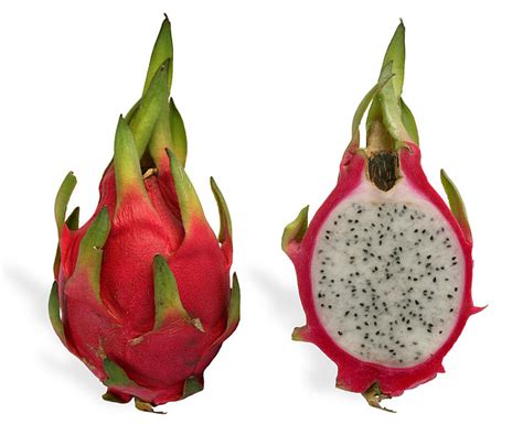 Dragon Fruit | Agricultural Marketing Resource Center