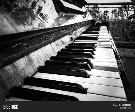 Grand Piano Black And White