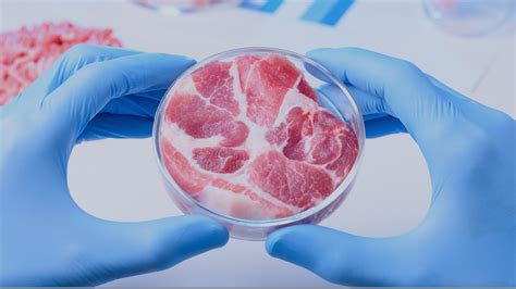 10 Reasons Why Vegans Shouldn't Support Lab-Grown Meat