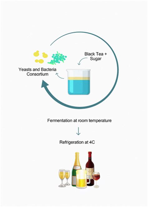 General scheme of the production of traditional fermented foods by... | Download Scientific Diagram