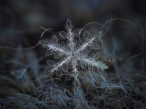 12 fantastiska bilder på snöflingor som du inte tror är tagna av en ...