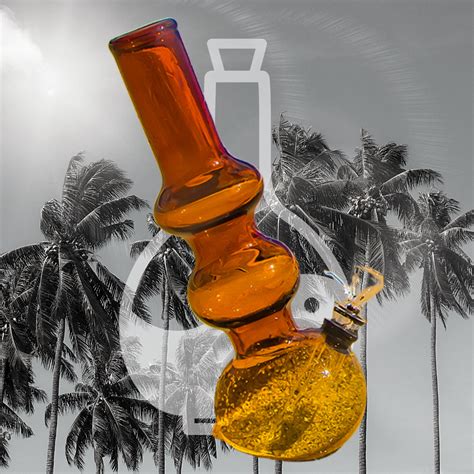 Which Shape Of Bong Is The Best?