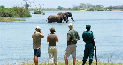 Malawi Safari Lodges