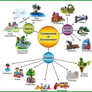 💌 The relationship between humans and the environment. The Relationship Between the Environment ...