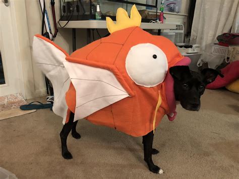 The costume I made for my dog (x-posted /r/pokemon) : r/sewing