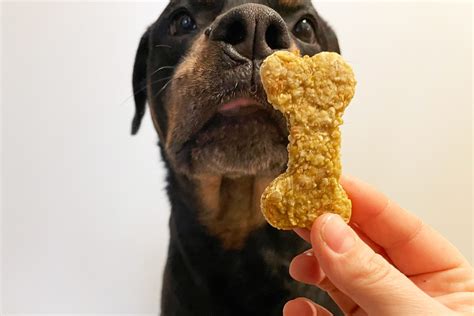 Homemade Chicken Dog Treats: How to Make Them