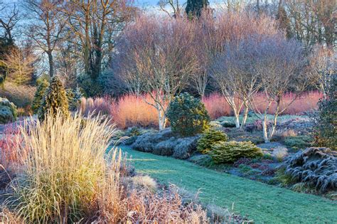 Richard Bloom | Garden Photographer's Association