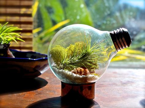 17 Creative DIY Terrarium Ideas - Style Motivation