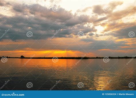 Sunset at Chobe River, Chobe National Park, Botswana Stock Photo - Image of botswana, chobe ...