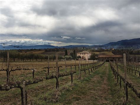 Photos: A Taste of Montefalco, Italy’s Top New Wine Region - Condé Nast Traveler