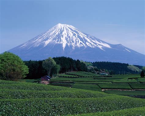 Mount Fuji | Facts, Height, Location, & Eruptions