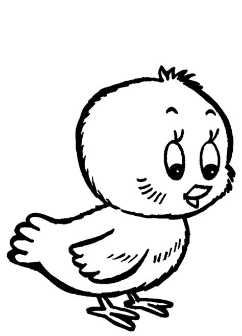 Dibujo de un pollito - Imagui