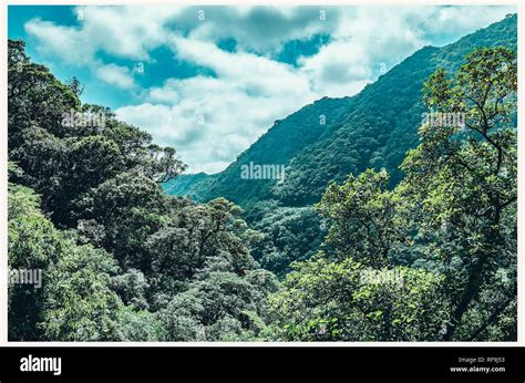 Serra do mar mountains hi-res stock photography and images - Alamy