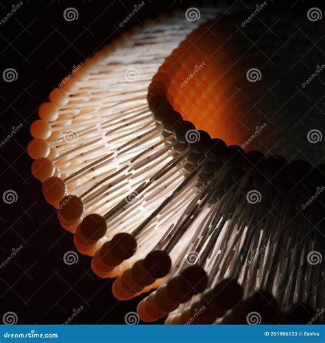 Lipid Bilayer or Phospholipid Bilayer. Stock Illustration - Illustration of hydrophobic ...