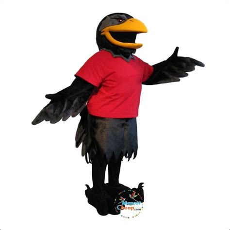 Handsome Raven Mascot Costume Outstanding Quality | Mascot costumes, Mascot, Costumes