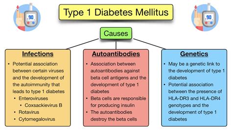 Type 1 Diabetes Mellitus: Symptoms, Treatment, Causes, Medications ...