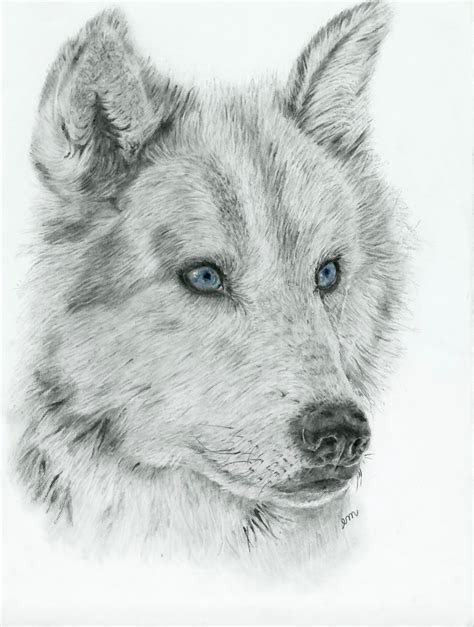 Blue Eyed Wolf – em Art