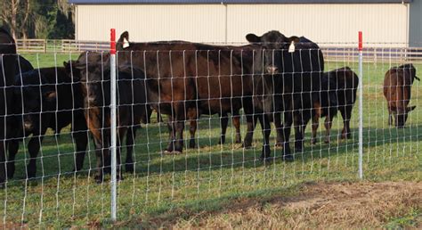 Field Fencing for Livestock | Contain LiveStock With Red Brand Fence