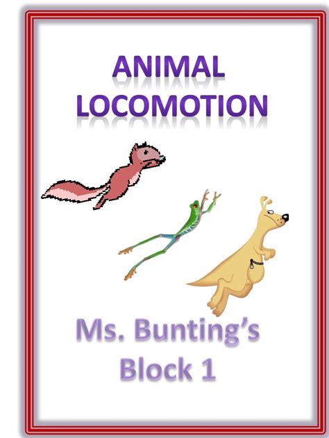 PPT - Animal Locomotion PowerPoint Presentation, free download - ID:2051295