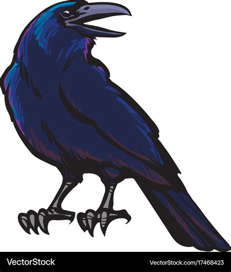 Black crow Royalty Free Vector Image - VectorStock