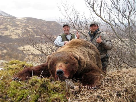 Alaska Brown Bear Hunt 10652