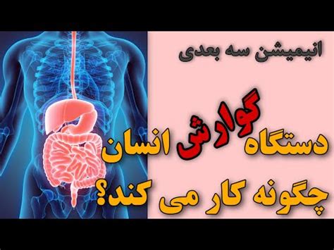 دستگاه گوارش انسان چگونه کار می کند؟ - YouTube