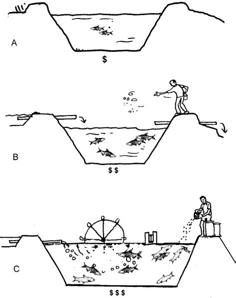 A: extensive, B: semi-intensive and C: intensive fish farming methods | Download Scientific Diagram