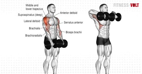 How to Do Dumbbell Upright Row Exercise Without Hurting Your Shoulders ...