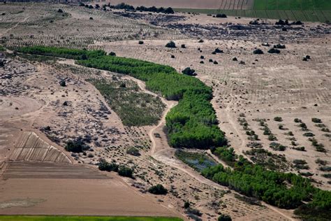 How Mexico's dry Colorado River Delta is being restored piece by piece