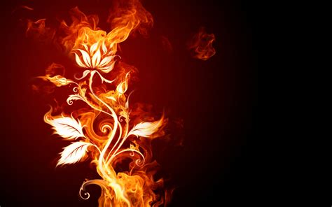 Fiery flower Wallpapers - HD Wallpapers 74492