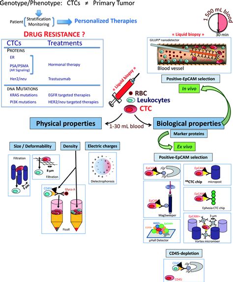 Technologies for detection of circulating tumor cells: facts and vision - Lab on a Chip (RSC ...