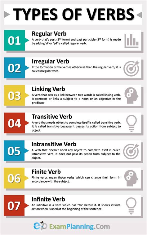 Types of Verbs (Examples & List) – ExamPlanning