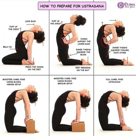 Yoga Love on Instagram: “How to prepare for Ustrasana Camel pose is a deep backbend and it can ...