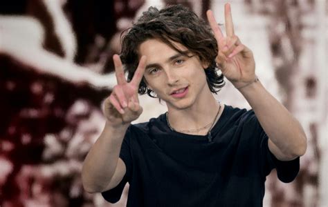 Timothée Chalamet plays Edward Scissorhands’ son in Super Bowl ad