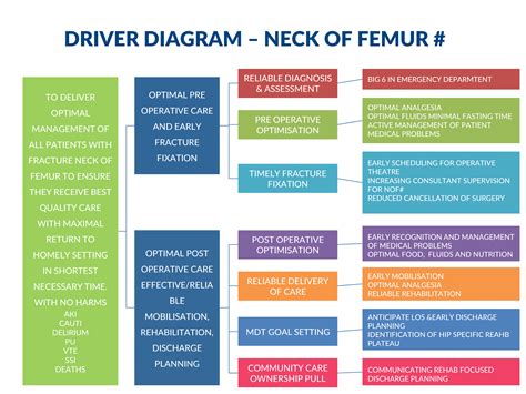 Driver Diagram — Lothian Quality