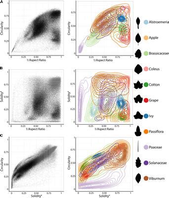 Frontiers | Topological Data Analysis as a Morphometric Method: Using Persistent Homology to ...