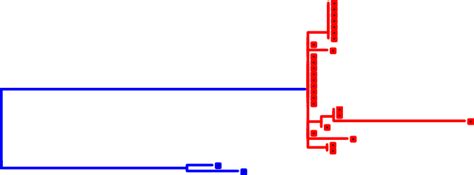 PhyloBotanist: How to sample when testing the monophyly of a group