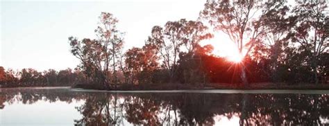 Lake Nagambie Fishing Guide | Fishing Melbourne & Victoria