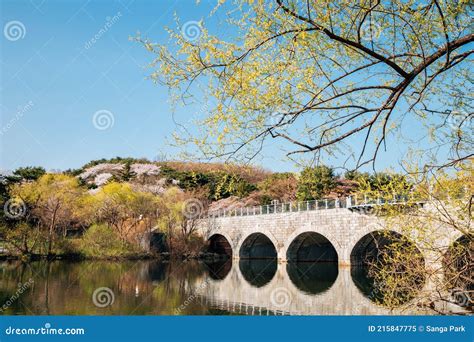 Spring of Seoul Grand Park in Gwacheon, Korea Stock Image - Image of ...