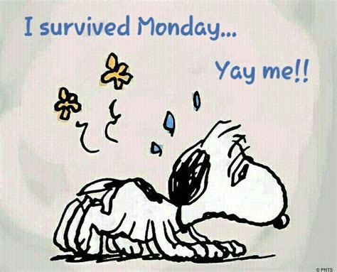 I survived Monday... Yay me!! Baby Snoopy, Snoopy Quotes, Joe Cool, Nighty Night, Charlie Brown ...