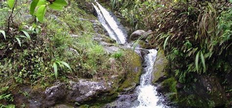 The Hanakapiai Falls Trail | Kauai Hawaii