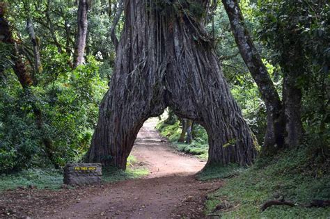 Arusha National Park | Tanzania - Arusha Trips