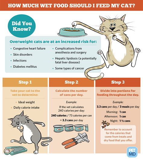 How to Calculate How Much Wet Food to Feed a Cat | Kitten food, Canned cat food, Cat food