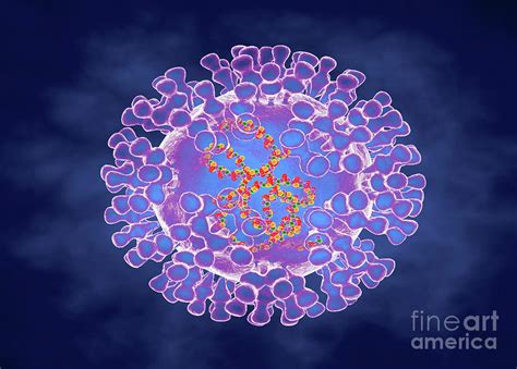 Pox Virus Photograph by Science Photo Library - Pixels