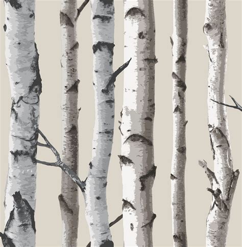 🔥 [40+] Birch Wood Wallpapers | WallpaperSafari