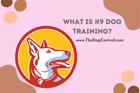 What is K9 Dog Training? | The Dog Central