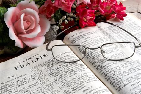 Bible flower Images - Search Images on Everypixel